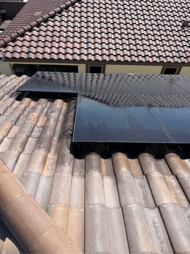 Solar panels protected with professional critter guard mesh after pigeon proofing