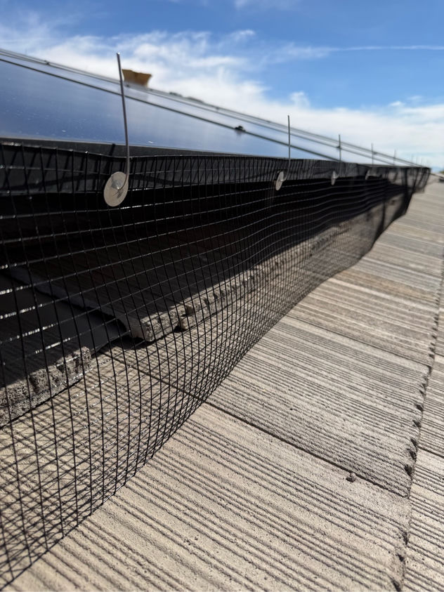 Close-up of black steel PVC-coated pigeon guard mesh secured along the bottom edge of solar panels on a Las Vegas rooftop