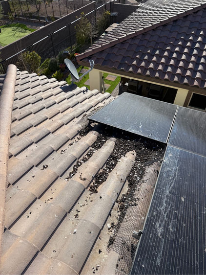 Pigeon nesting debris and droppings under solar panels before bird mesh installation